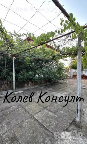 Продавам едноетажна къща близнак в село Длъгнево , снимка 6 - Къщи - 49996354