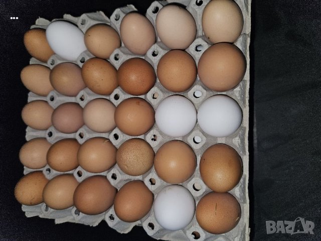 Домашни яйца , снимка 1 - Кокошки и пуйки - 40622950