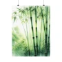 Качествени Семена от бамбук Bambusa arundinacea бързо растящи бамбукови растения за украса на дома, снимка 18