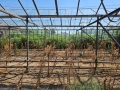 Продава се стъклена оранжерия, снимка 10