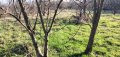 Земеделска земя за продажба в района на с.Беласица , снимка 13