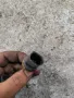 Температурен датчик антифриз за Фолксваген Ауди Сеат Шкода VW Audi Seat Skoda Bora 06A919501A, снимка 2
