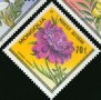  Сет 7 марки Цветята на Монголия,Монголия, 1979, ново, минт, снимка 2