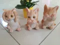 Декоративни котета, снимка 1