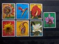 219. Парагвай 1973 ~ “ Флора. Цветя. “, **, MNH, снимка 1 - Филателия - 29733481