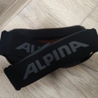 детски ски очила Alpina, снимка 2 - Зимни спортове - 44084465