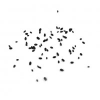 20 бр Редки семена от насекомоядно месоядно растение венерина мухоловка декор за дома офиса двора и , снимка 10 - Сортови семена и луковици - 28090404