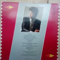 Грамофонна плоча  PAUL YOUNG  LP., снимка 2 - Грамофонни плочи - 33545353