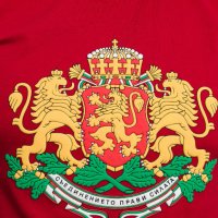 Нова мъжка червена тениска с релефен трансферен печат Герб на България, снимка 2 - Тениски - 29889507