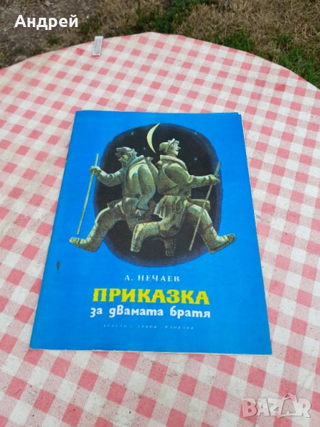 Детска книга Приказка за двамата братя, снимка 1