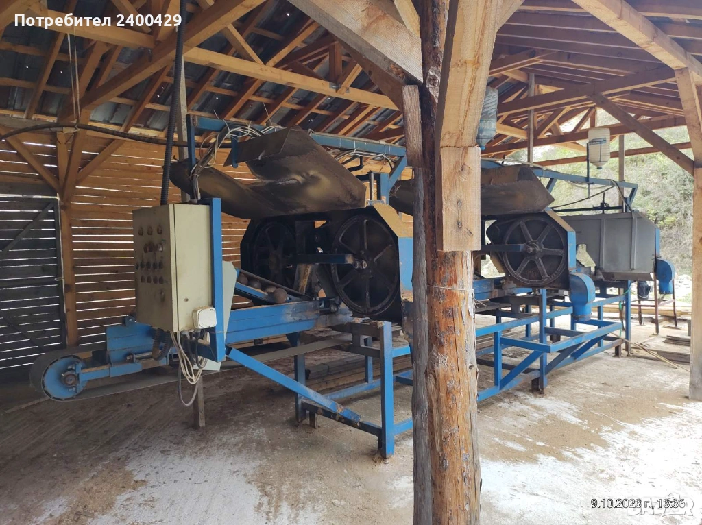 Банциг листач с три глави, снимка 1