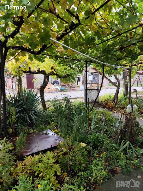 продавам селски имот с къща, снимка 1