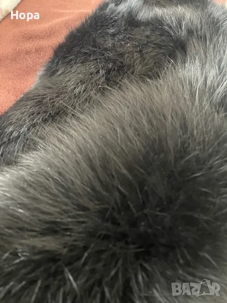 Дамско яке, снимка 1