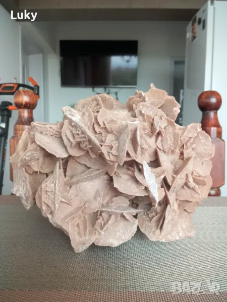 Прекрасна и огромна Пустинна роза(фосил,вкаменелост) от Сахара.., снимка 1