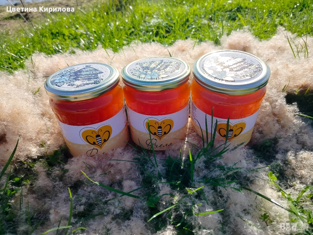 Много вкусен и полезен пчелен мед от природата, снимка 1