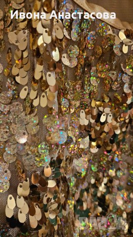 ЗЛАТЕН ПОТНИК ПАЕТИ , снимка 2 - Потници - 43841402