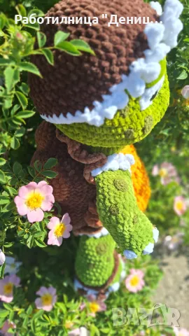 Костенурка , снимка 7 - Други - 50173845