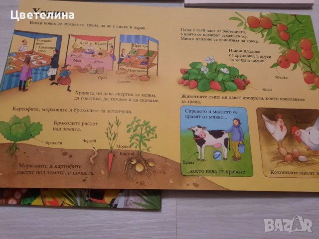Различни детски Енциклопедии и Книги , снимка 4 - Детски книжки - 43887183