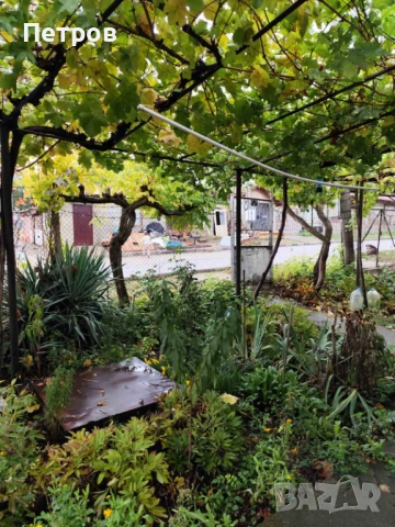 продавам селски имот с къща