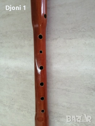 Блок флейта сопрано Hohner , снимка 4 - Духови инструменти - 53522365