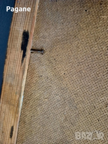 Портрет- Людмила Поптошева, снимка 13 - Картини - 53470400