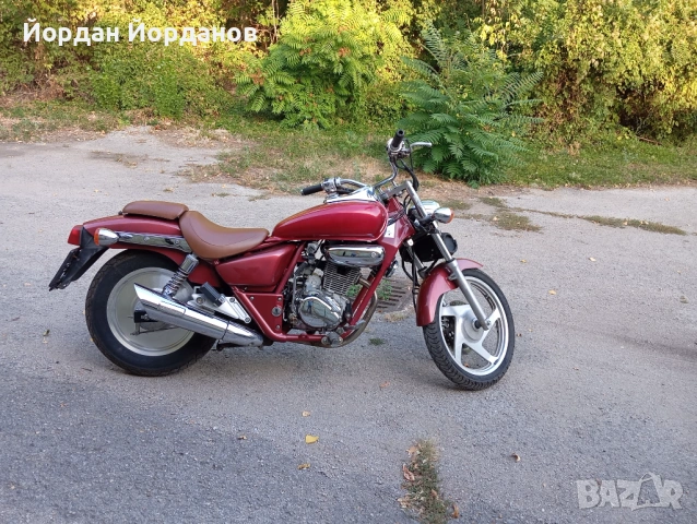 Заменям акордеон, снимка 3 - Акордеони - 53296273