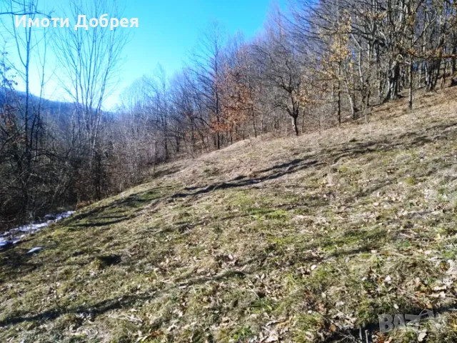 Парцел с къща и панорамна гледка в гр. Априлци, снимка 6 - Парцели - 49449205