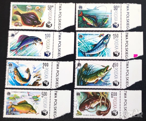 Полша, 1979 г. II лот - марки на теми история, музика, личности, изкуство, религия, космос, риби, снимка 12 - Филателия - 53479841