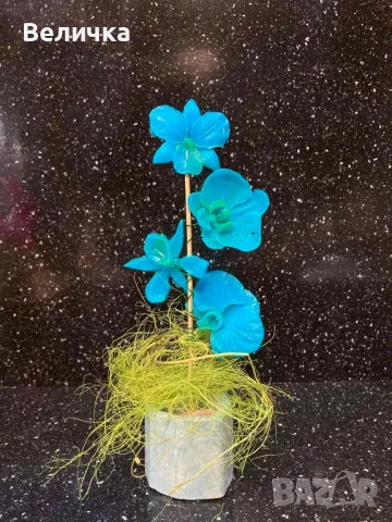 сапунени Орхидеи. , снимка 6 - Други - 48827188