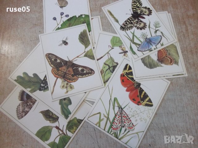 Лот от 16бр. картички на насекоми от червената книга на СССР, снимка 6 - Други ценни предмети - 35626260