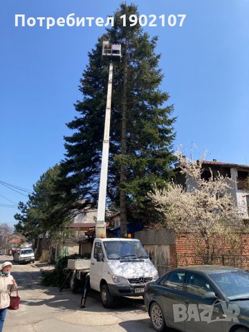 Автовишка под наем.Рязане и кастрене на опасни дървета!, снимка 2 - Други услуги - 32910632