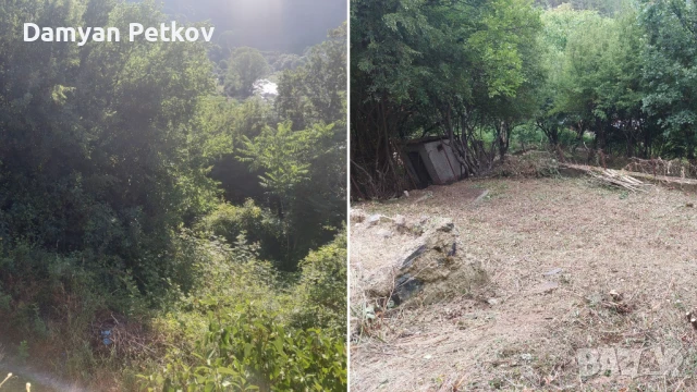 Професионално почистване на дворове , снимка 3 - Други услуги - 51007399