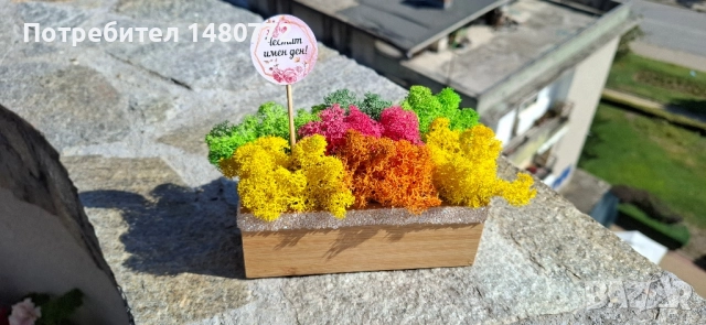 Малка бамбукова кашпа, снимка 4 - Декорация за дома - 51470258