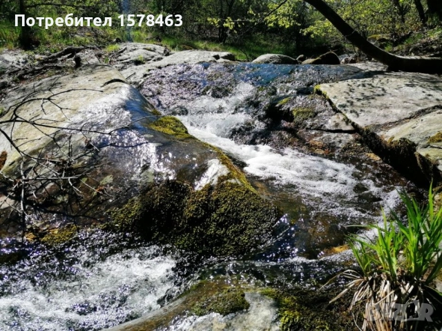 Продавам 120 декара-гори, снимка 3 - Земеделска земя - 52658500