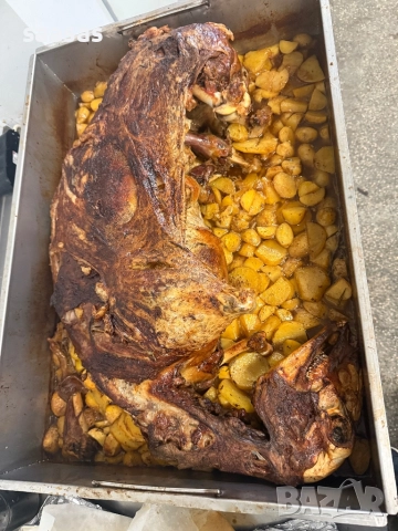 Печени агнета и прасета, снимка 14 - Кетъринг - 50568164