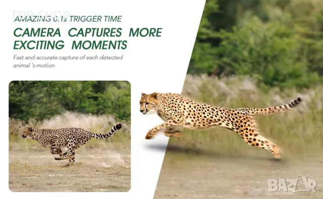 Ловна камера висок клас HAZA PR800 -58MP+ КАРТА SD 32 GB, снимка 7 - Стръв и захранки - 48508358