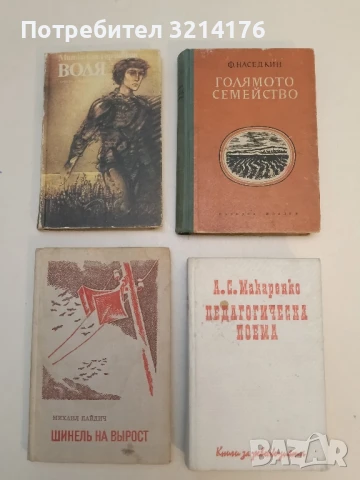 Воля - Митко Горчивкин