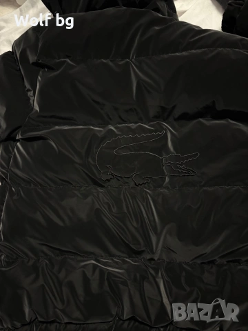 Зимно яке lacoste , снимка 4 - Якета - 53155635