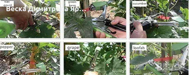 Градински инструмент за връзване на стебла, клони и други, снимка 3 - Други инструменти - 50057697