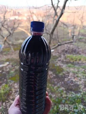 Оцет от черен бъз, Домашен, Био, снимка 6 - Домашни продукти - 48556983