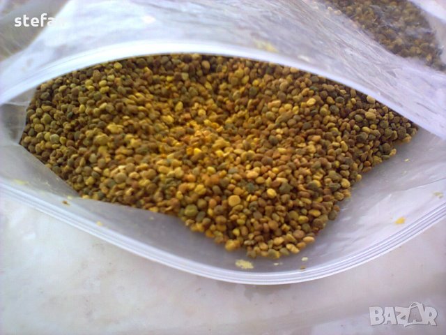 Прашец от търтии - естествен афродизиак МНОГО МОЩЕН!!!, снимка 3 - Хранителни добавки - 27421942