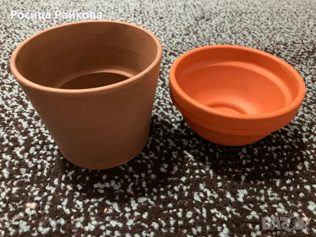 Саксии, снимка 1