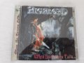 Highlord - When the Aurora Falls... (2000), снимка 2