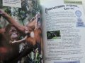 Детска Енциклопедия "Чудесата на дивата природа - библиотека Знание" - 2006 г., снимка 7