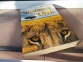 ЛЪВИЦАТА ЕЛЗА-КНИГА 2202231646, снимка 4
