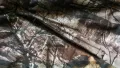REALTREE Xtra WINTER Women Jacket размер 2XL дамско зимно ватирано яке с безшумна материя - 829, снимка 9