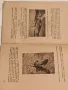 Антикварна Книга Бърза Стрелба с Руска Винтовка 1949 г, снимка 3