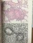 Патологическая анатомия. Атлас - В. В. Серов, Н. Е. Ярыгин, В. С. Пауков, снимка 7