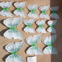 3Д пеперуди за декорация, снимка 13 - Декорация за дома - 32818290