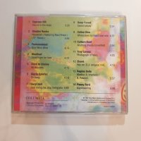Street Sounds From Sony Volume 1 cd, снимка 3 - CD дискове - 43690070